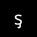 LATIN SMALL LETTER S WITH PALATAL HOOK Phonetic Extensions Supplement Unicode U+1D8A