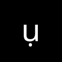 LATIN SMALL LETTER U WITH DOT BELOW Latin Extended Additional Unicode U+1EE5